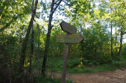 Panneau de direction, forêt de Chez Joly 